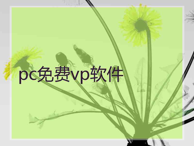 pc免费vp软件
