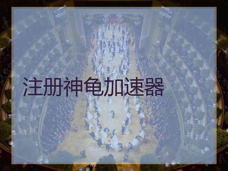 注册神龟加速器