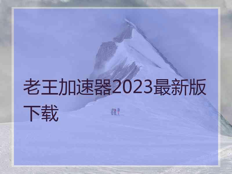 老王加速器2023最新版下载