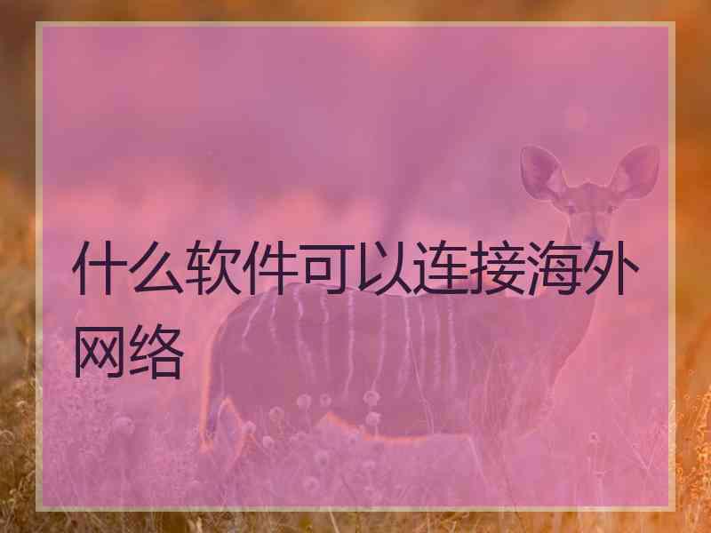 什么软件可以连接海外网络