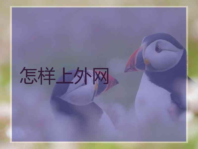 怎样上外网