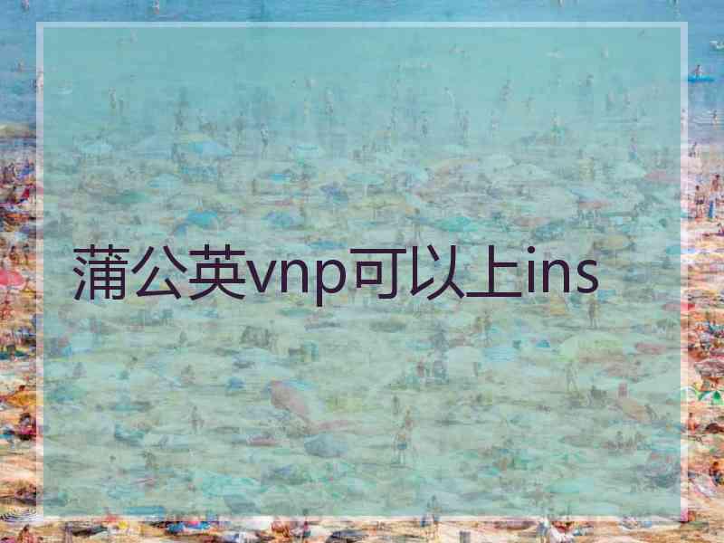 蒲公英vnp可以上ins
