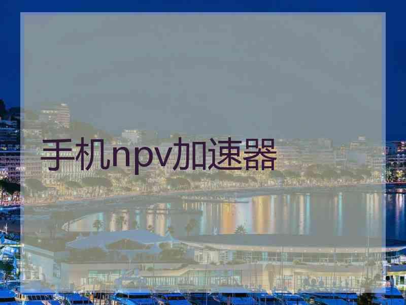 手机npv加速器