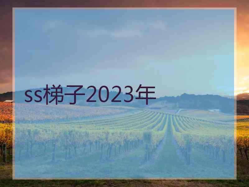ss梯子2023年