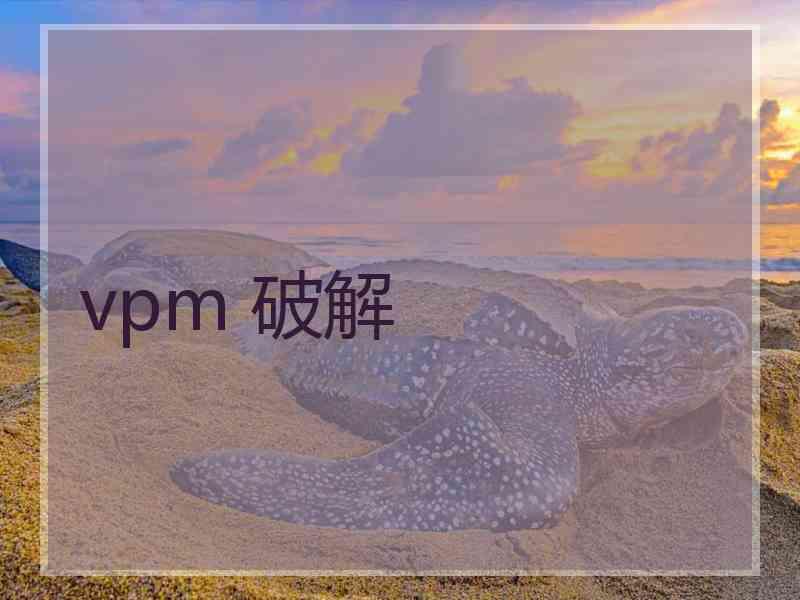 vpm 破解