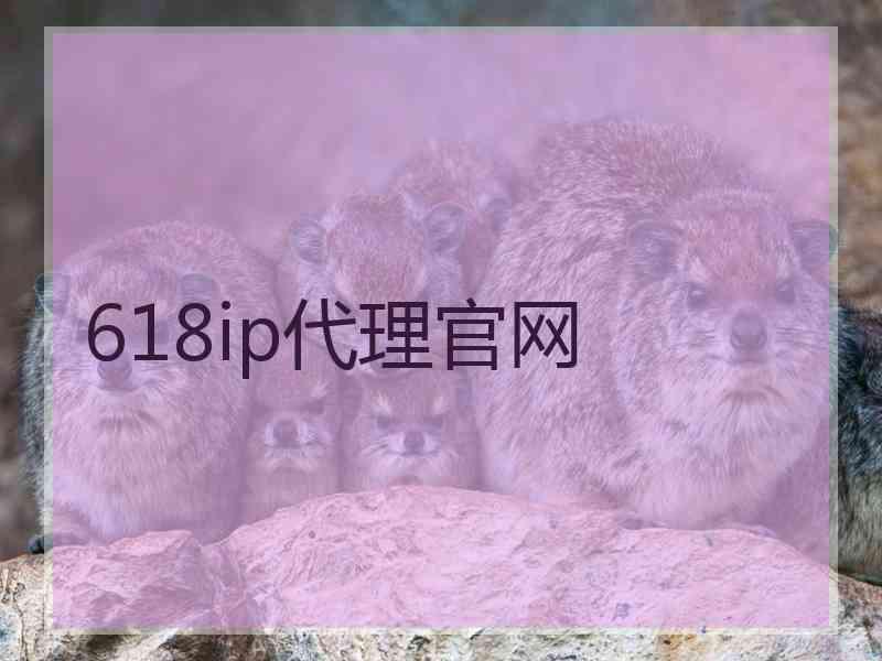 618ip代理官网
