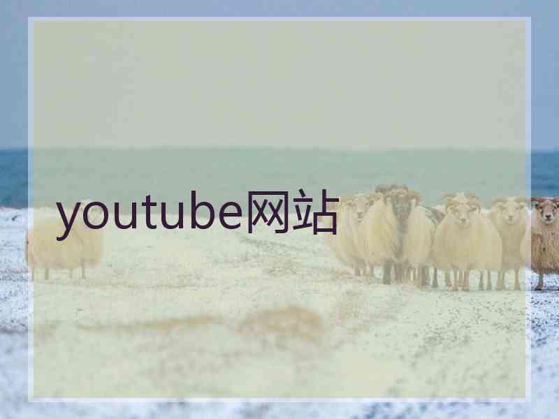 youtube网站