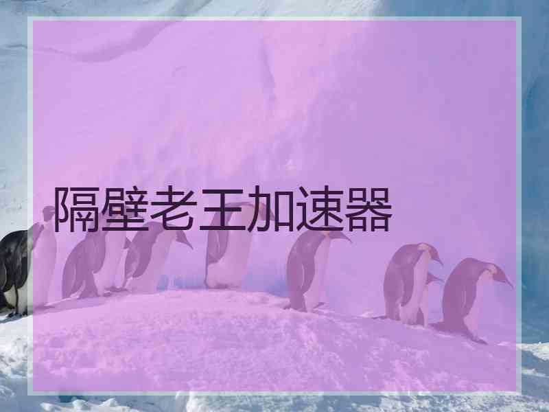 隔壁老王加速器