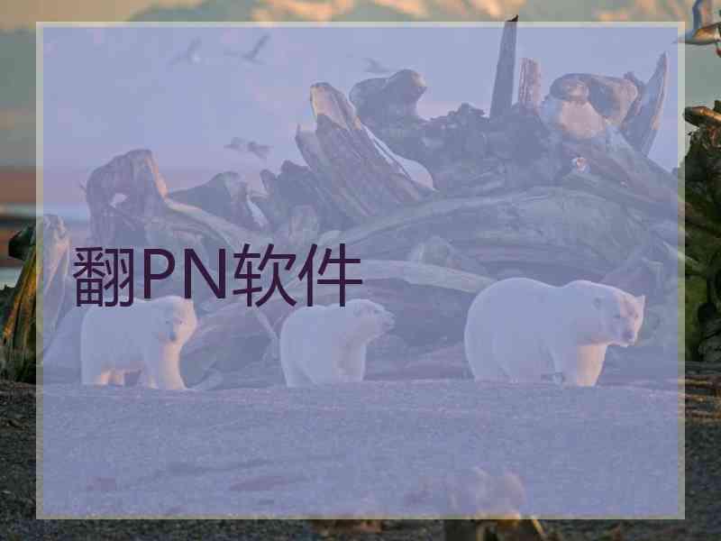 翻PN软件