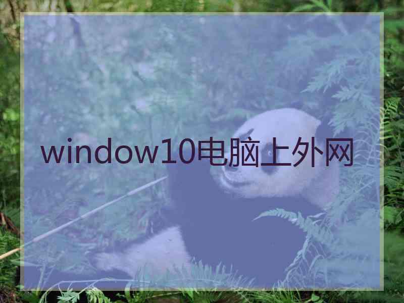 window10电脑上外网