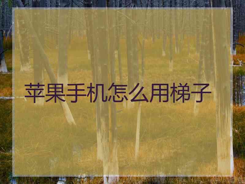苹果手机怎么用梯子