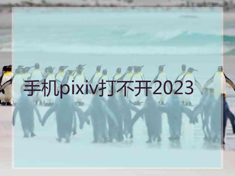手机pixiv打不开2023