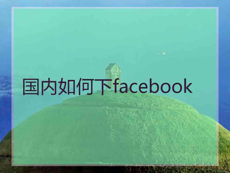 国内如何下facebook