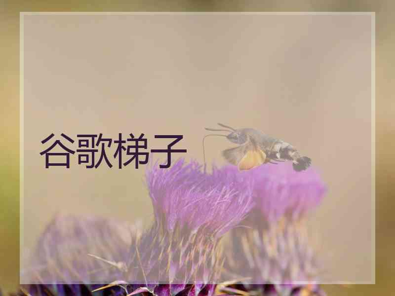 谷歌梯子