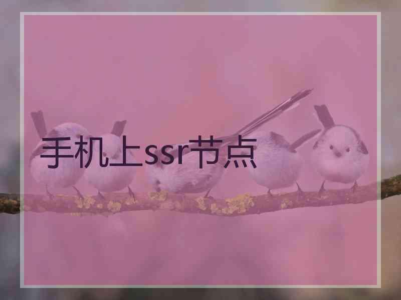 手机上ssr节点