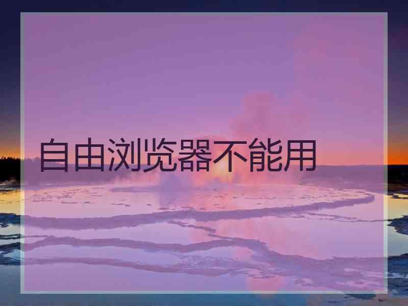 自由浏览器不能用