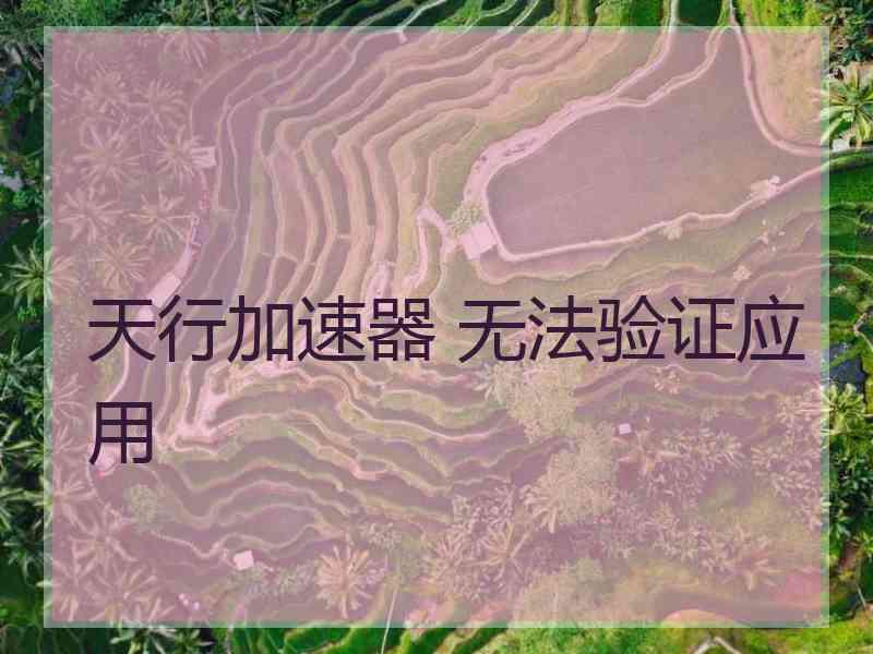 天行加速器 无法验证应用
