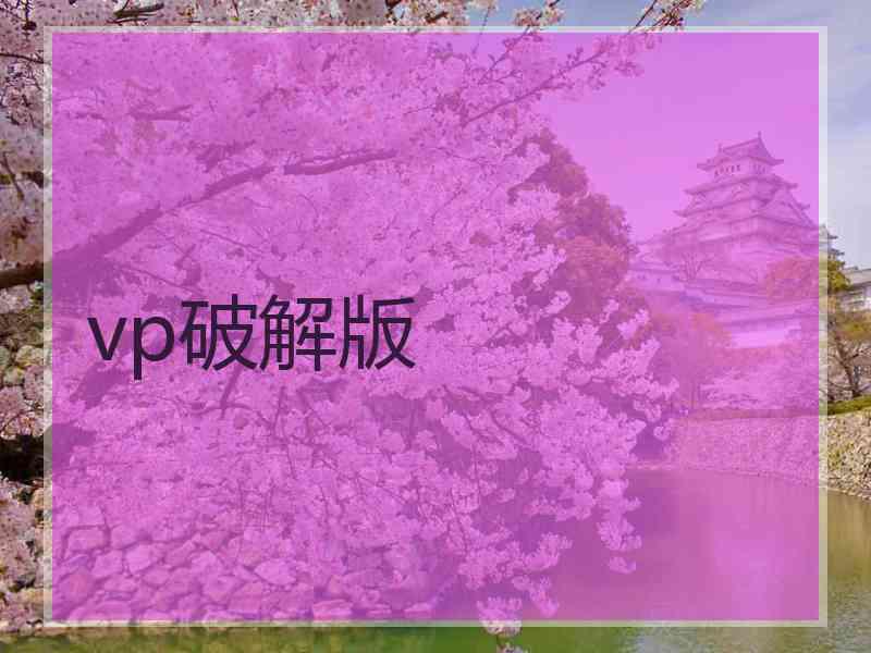 vp破解版