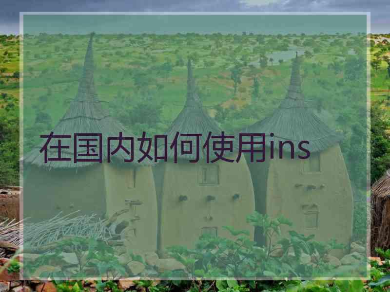 在国内如何使用ins