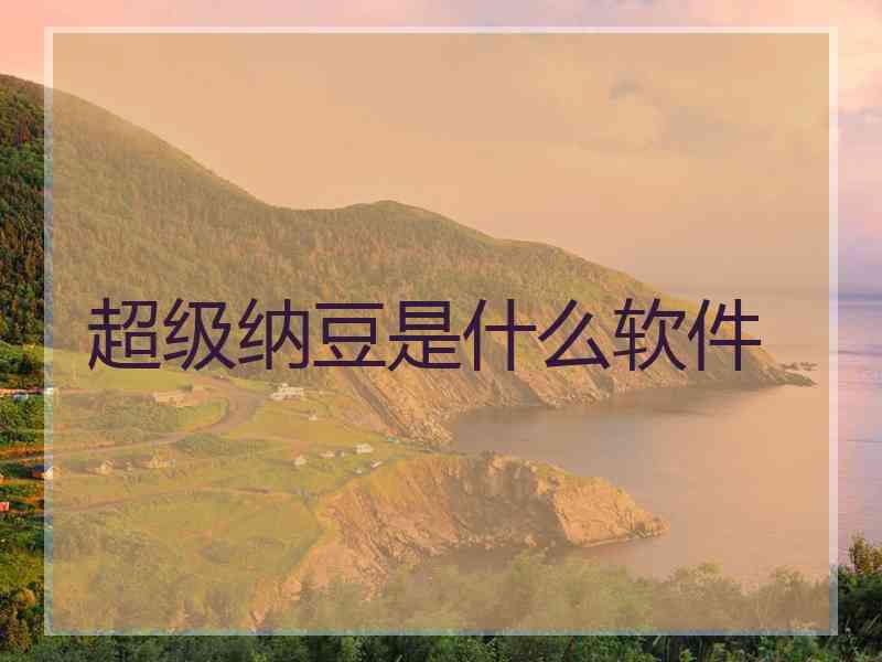 超级纳豆是什么软件
