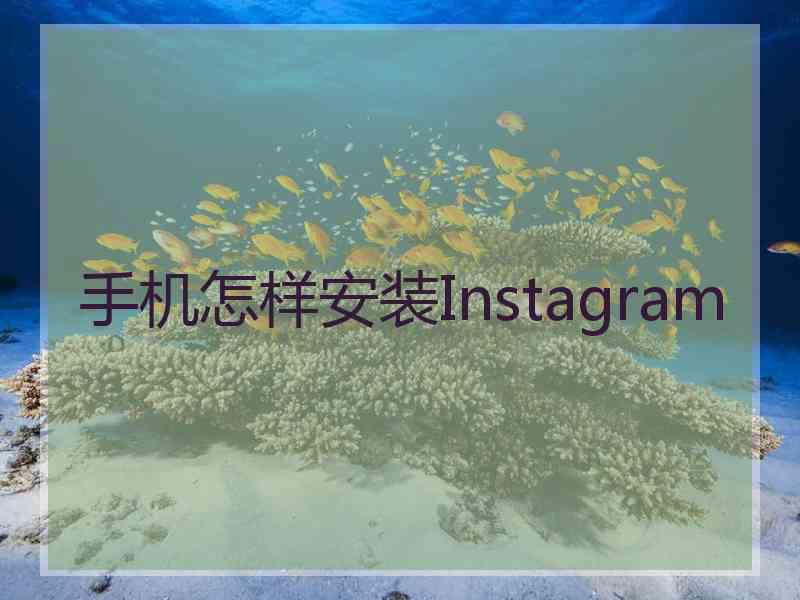 手机怎样安装Instagram