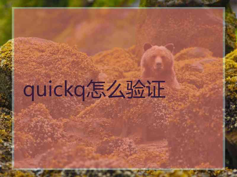 quickq怎么验证