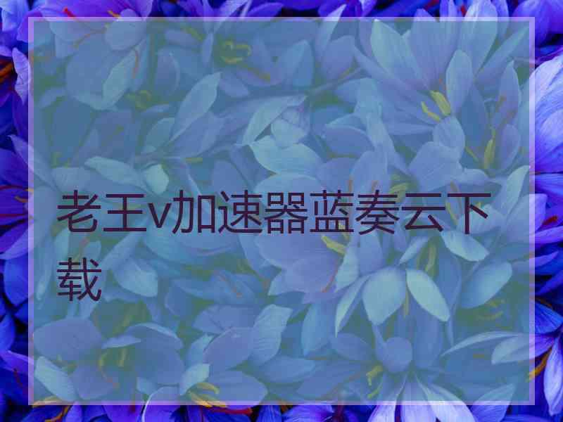 老王v加速器蓝奏云下载