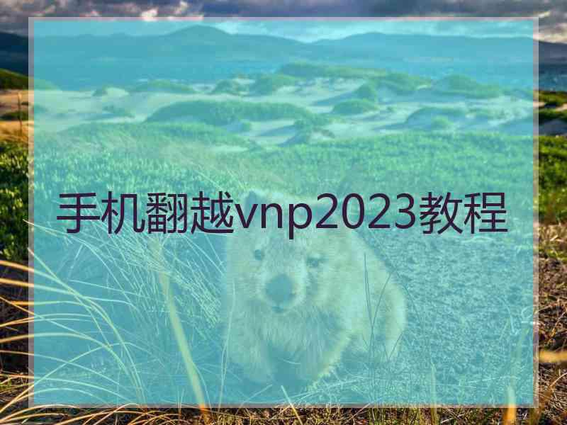 手机翻越vnp2023教程