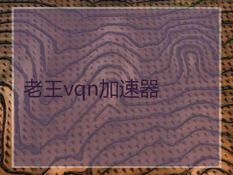 老王vqn加速器