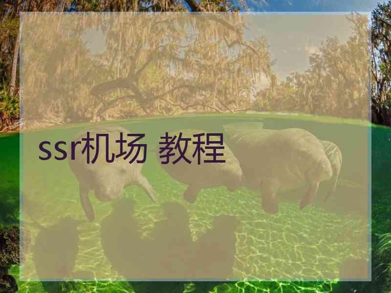 ssr机场 教程