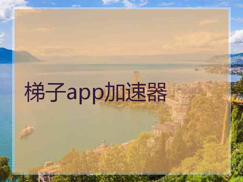 梯子app加速器