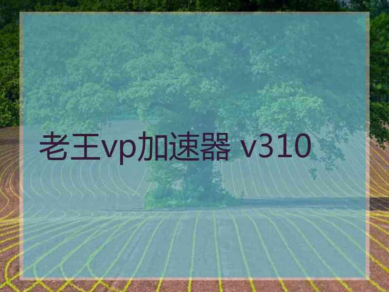 老王vp加速器 v310