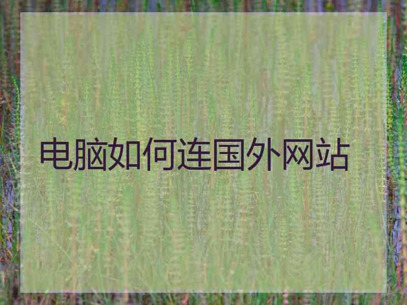电脑如何连国外网站