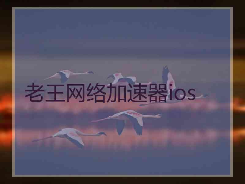 老王网络加速器ios
