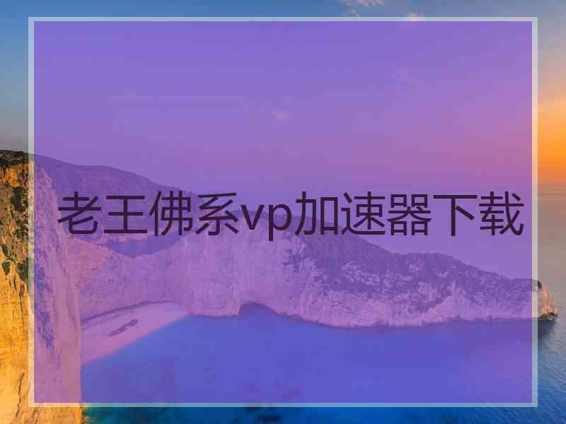 老王佛系vp加速器下载