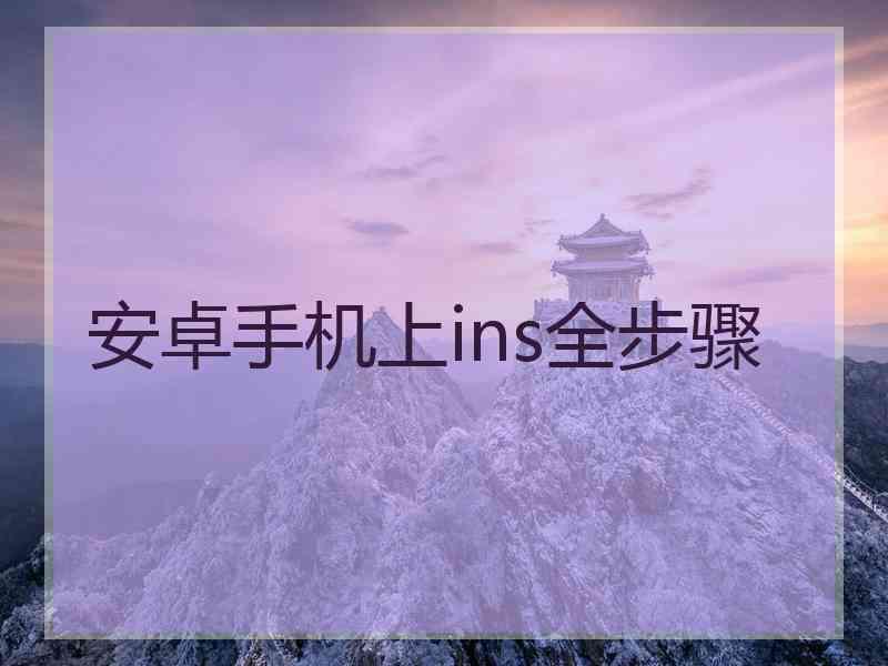 安卓手机上ins全步骤