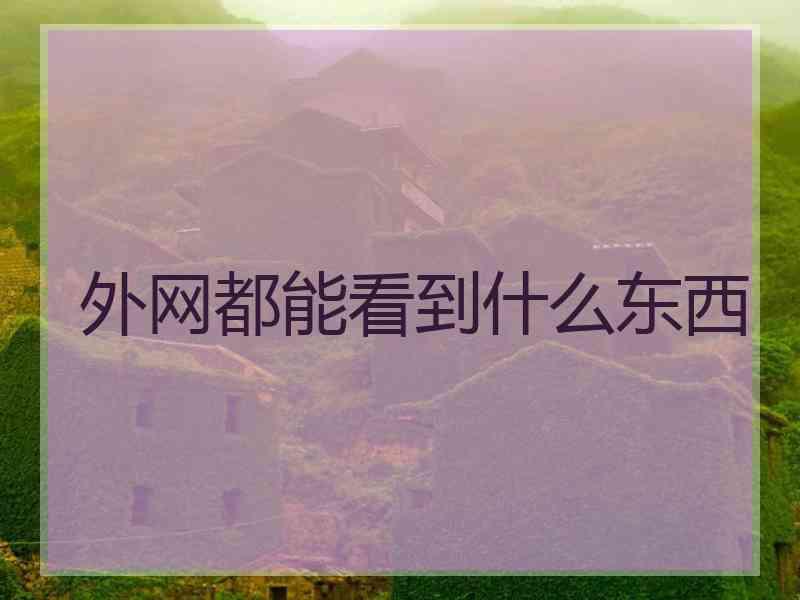 外网都能看到什么东西