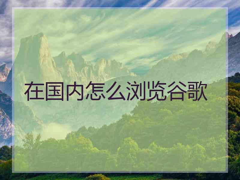 在国内怎么浏览谷歌