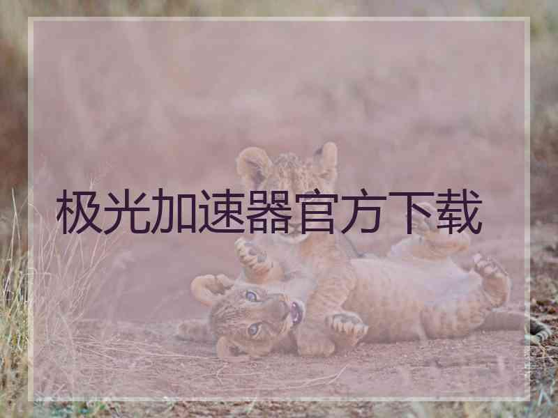 极光加速器官方下载