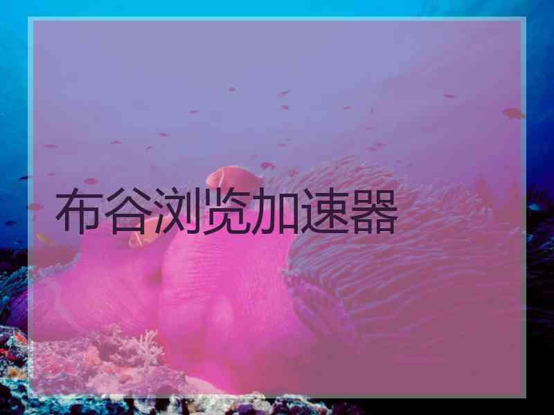 布谷浏览加速器