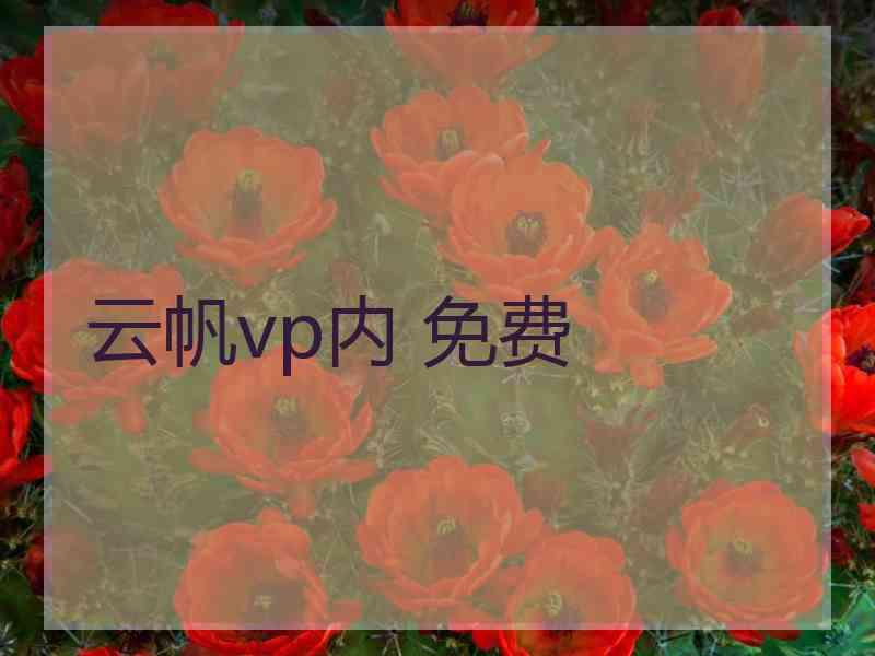 云帆vp内 免费