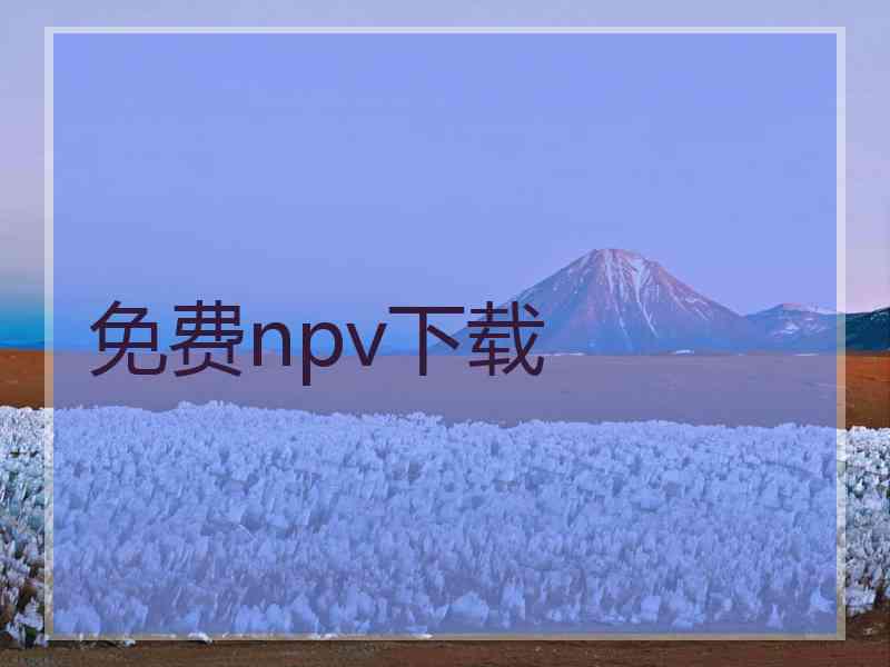 免费npv下载