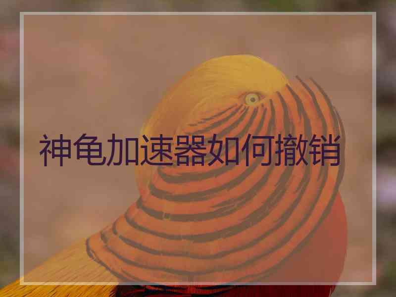 神龟加速器如何撤销
