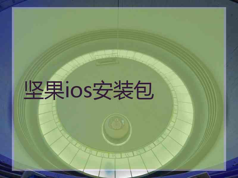 坚果ios安装包