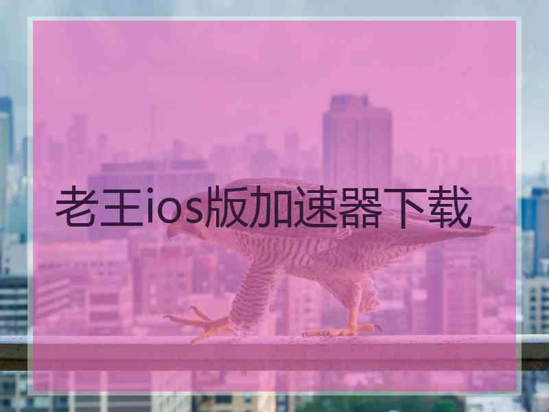 老王ios版加速器下载