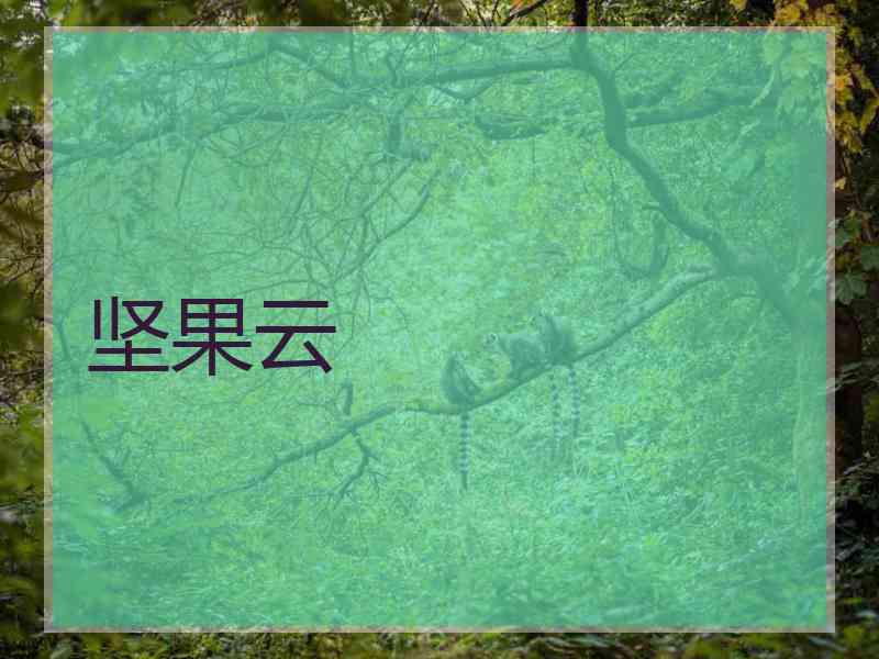 坚果云