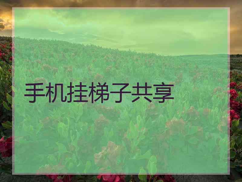 手机挂梯子共享