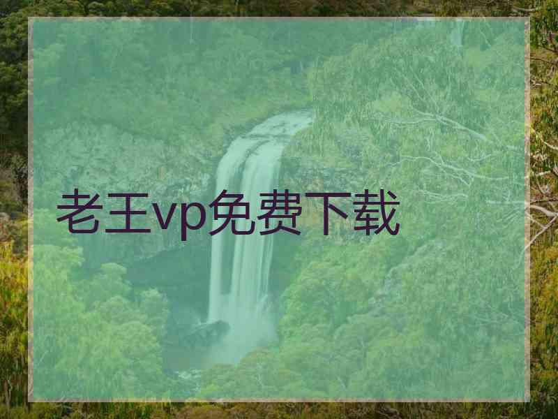 老王vp免费下载