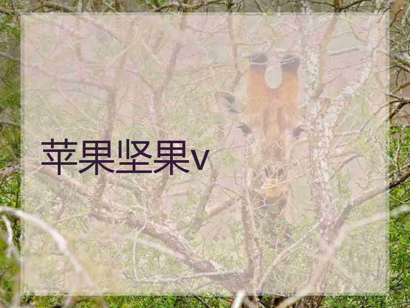 苹果坚果v