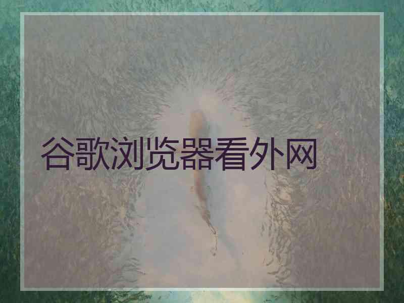 谷歌浏览器看外网